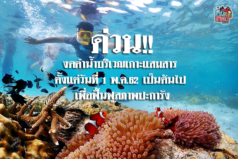 ประกาศห้ามดำน้ำ